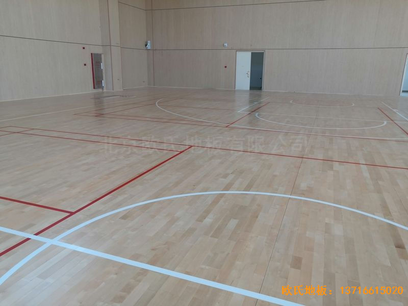 �V����혴���FӢ�ЌW�\��ľ�ذ尲�b����