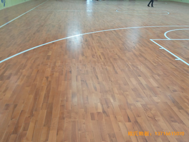 �(y��ng)ú���F(tu��n)���V���^�w��ľ�ذ���O(sh��)����1