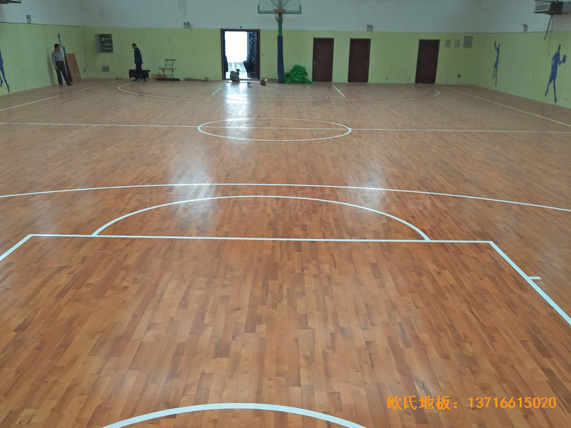 �(y��ng)ú���F(tu��n)���V���^�w��ľ�ذ���O(sh��)����5