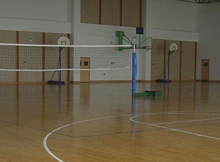 ��ľ�\�ӵذ�