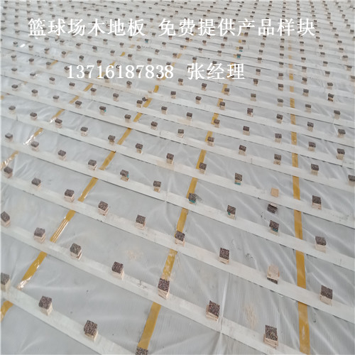 ɽ�|�@��?q��)�ľ�\�ӵذ�,ɽ�|�w���^�\�ӵذ�,ɽ�|�@���w��ľ�ذ�