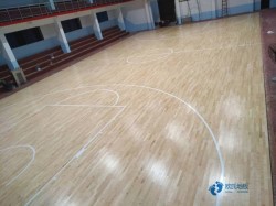 ���Ռ������_�\���w��ľ�ذ��ИIƷ��